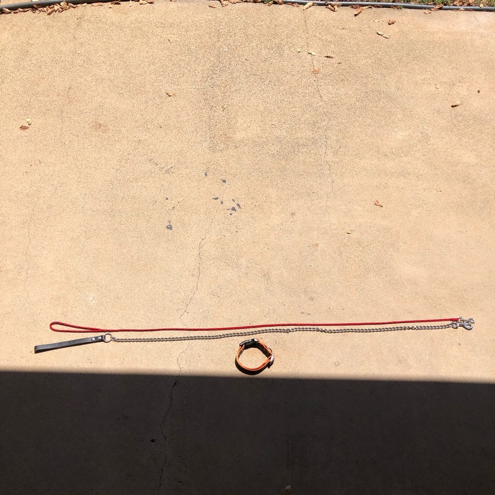 Red Rope and Chain Dog Leash with Orange Collar